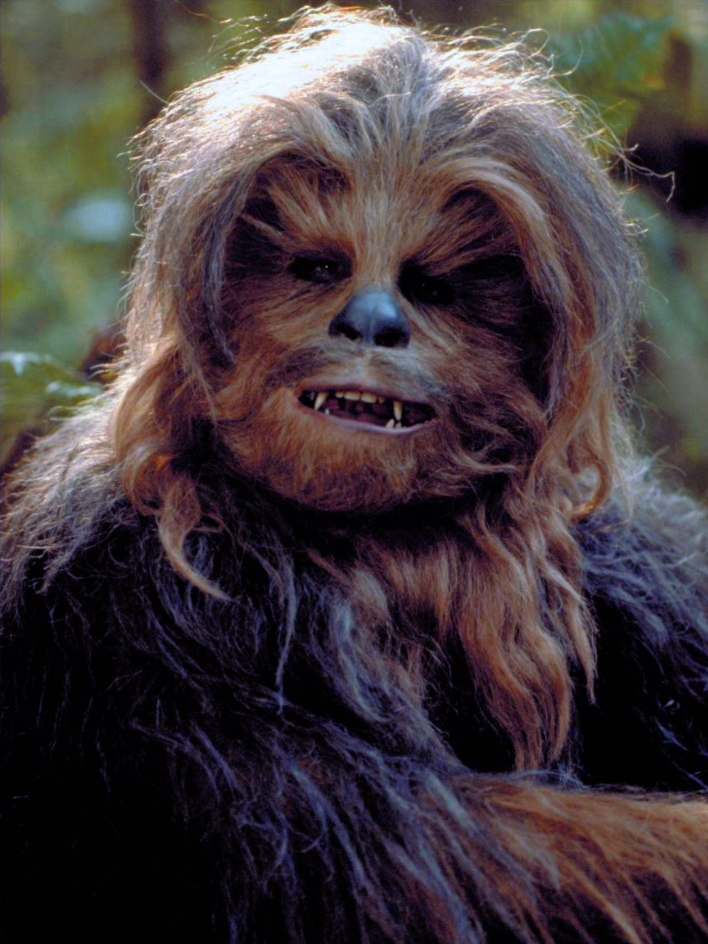 chewbacca wookieepedia fandom powered