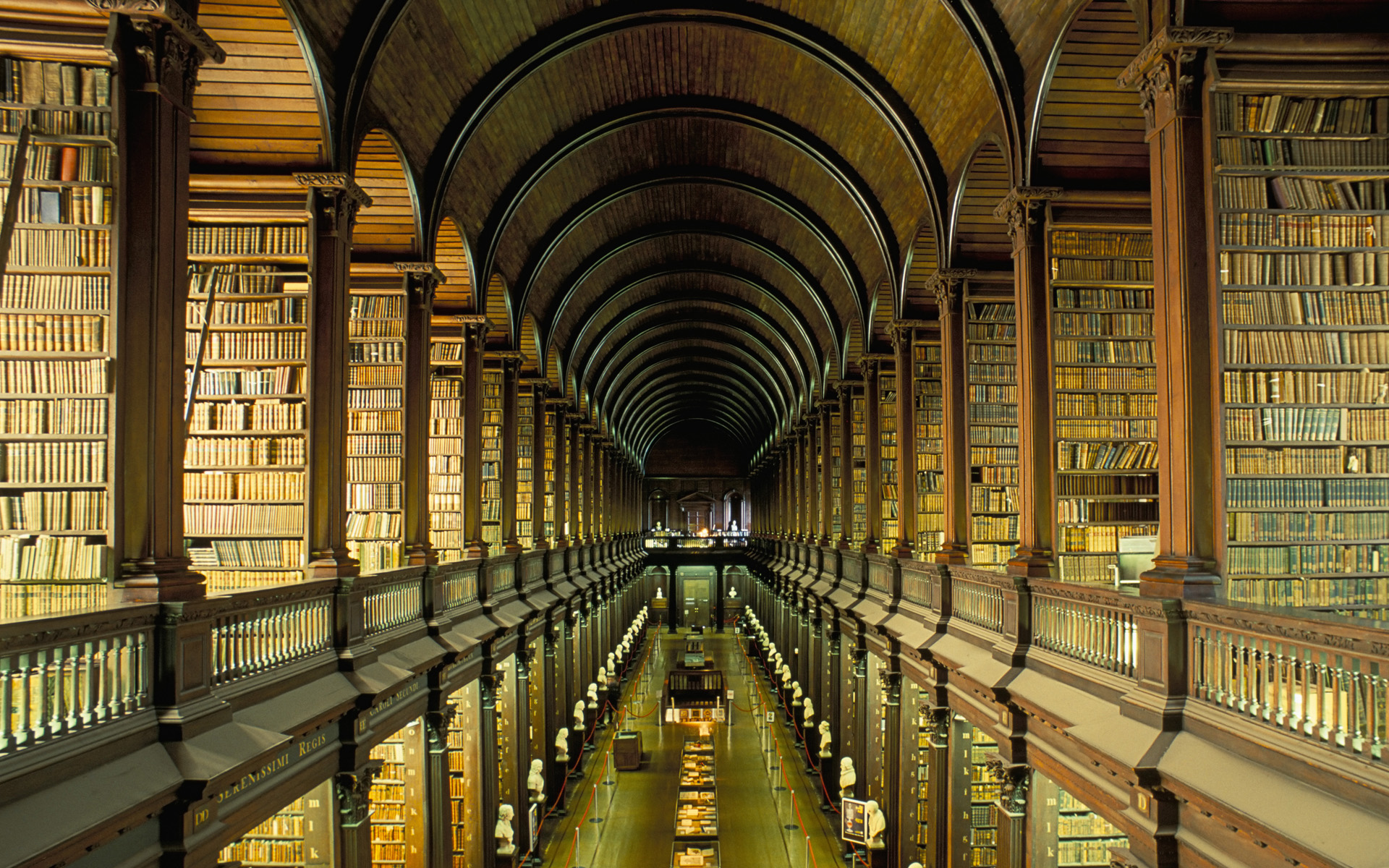 essay on college library