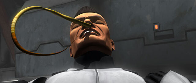 File:Snorting worms.jpg