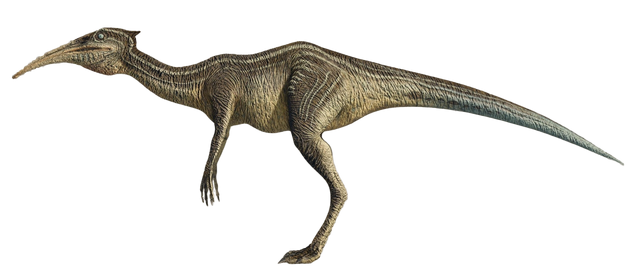 File:Pikobis.png