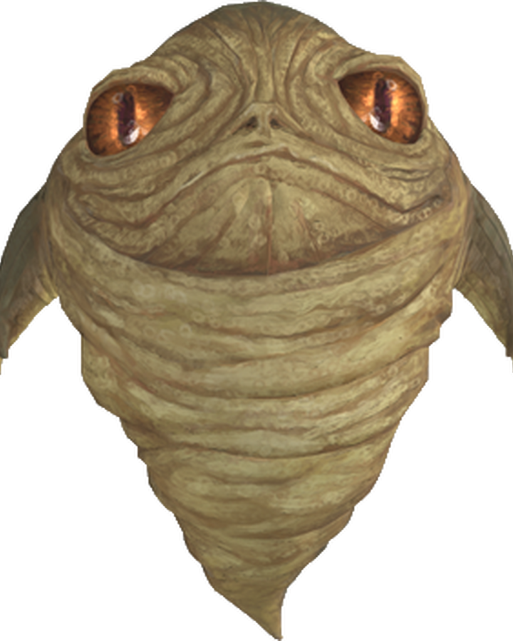 Rotta Wookieepedia Fandom