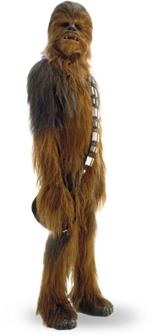 Bild - Wookie.png | Star Wars Fantasy Wiki | FANDOM powered by Wikia