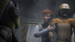 Secret Cargo 17