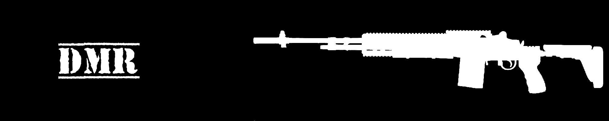 anarchy m25 weapons dmr