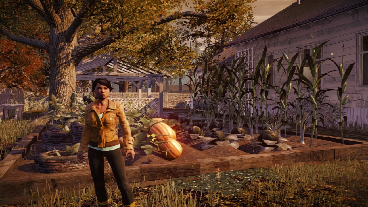 state of decay 1
