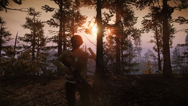 Datei:Forest 01.jpg