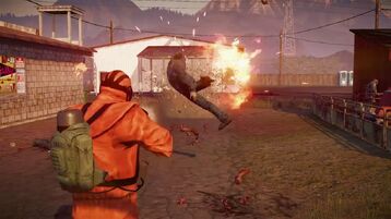 State of decay