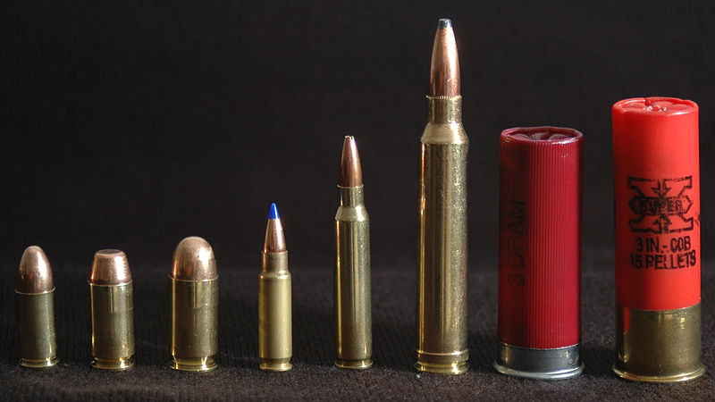 shotgun shells state of decay wiki fandom powered by wikia