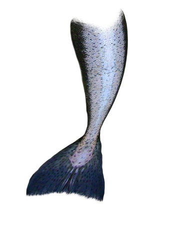 File:Mermaid tail.png