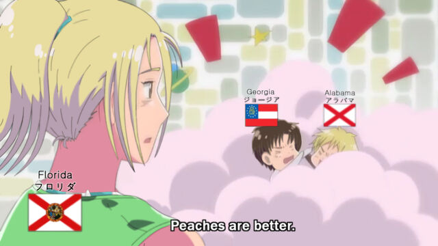 File:FLSCREENCAP.jpg
