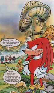 Mushroomvalley