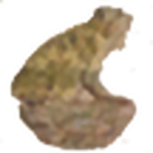 Emoticons Aquatic Life Steam Trading Cards Wiki Fandom