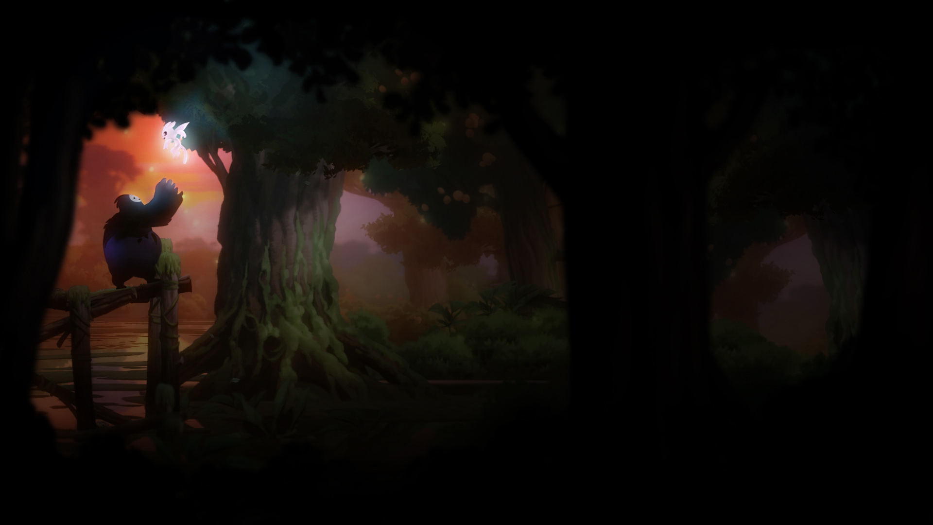 the forest background