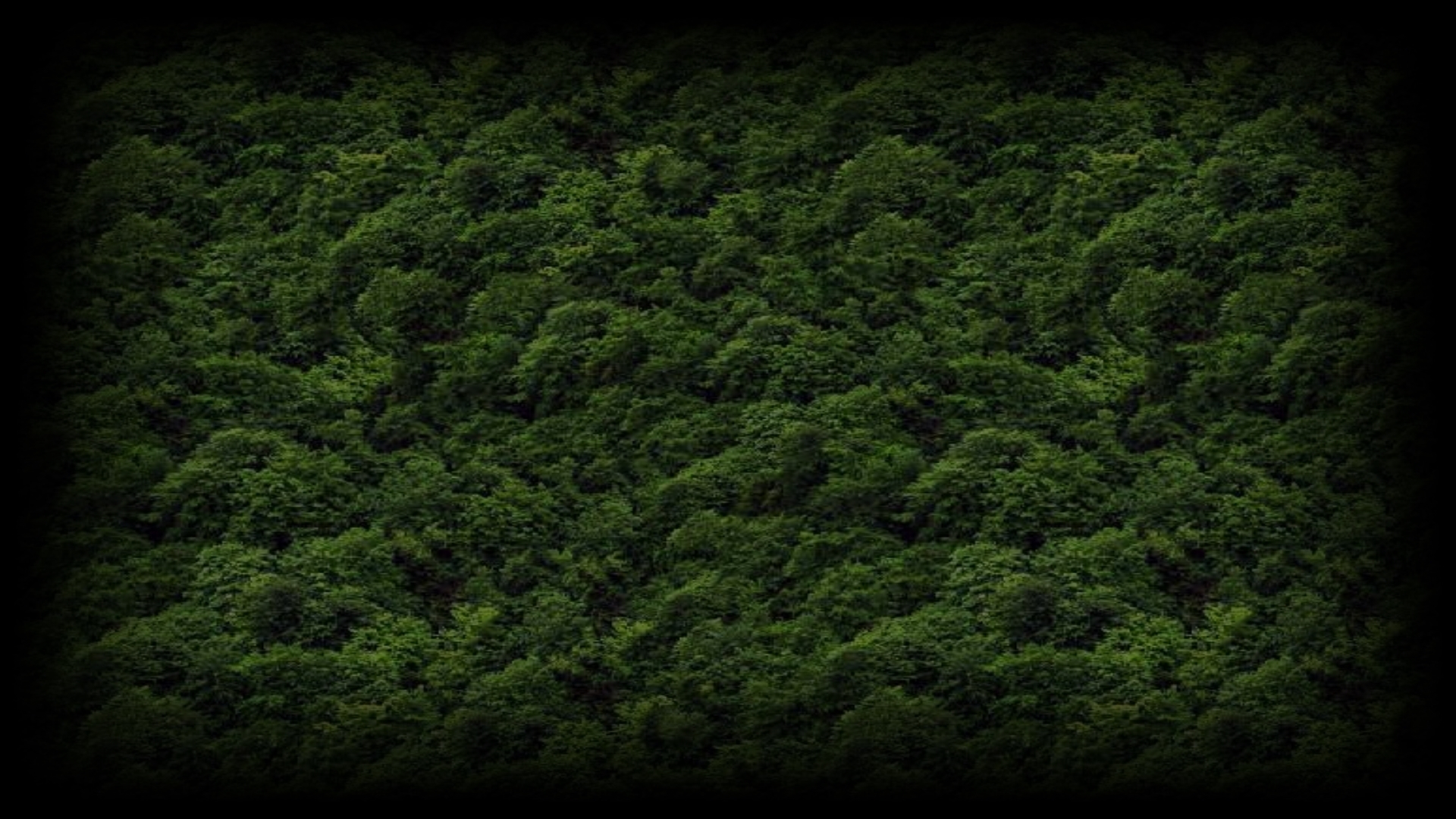 Image Super Killer Hornet Resurrection Background Treesjpg Image Super Killer Hornet Resurrection Background Treesjpg