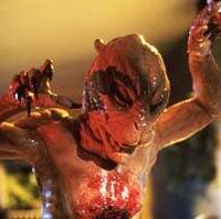 The Sleepwalkers Stephen King Wiki Fandom