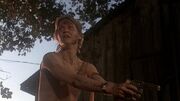 Cujo revolver 2