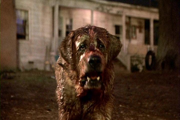 Image result for cujo