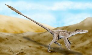 FeatheredVelociraptor
