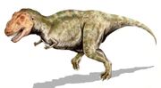 T. rex