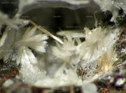 Zorite-Raite