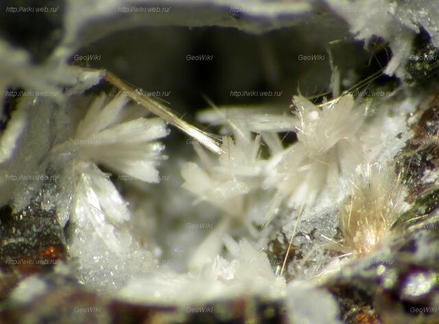 Файл:Zorite-Raite.jpg