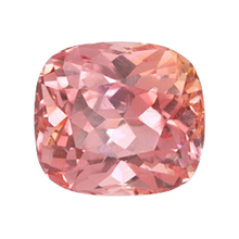 Paddygem