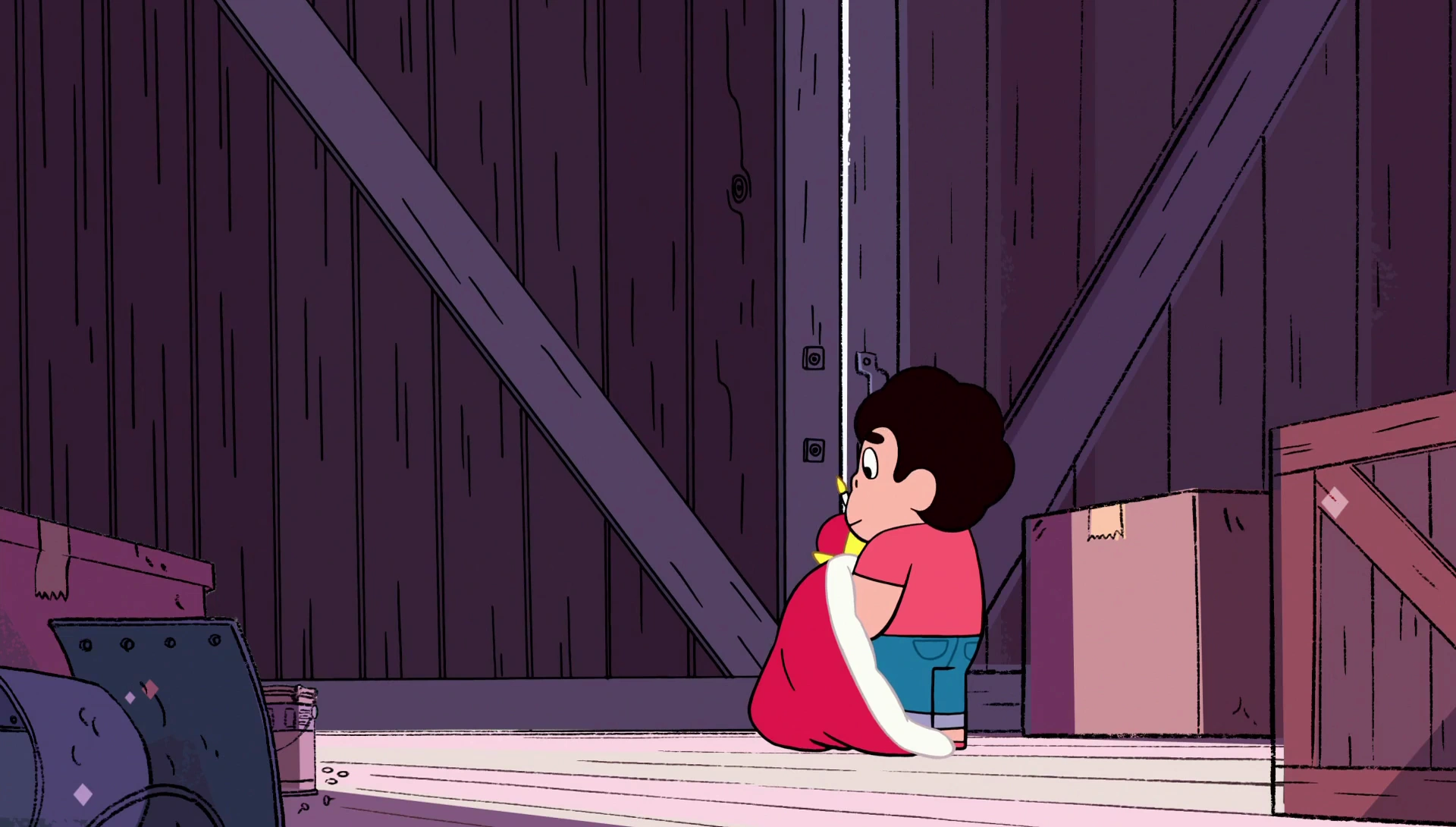 Image - Steven’s Birthday 054.png | Steven Universe Wiki | FANDOM