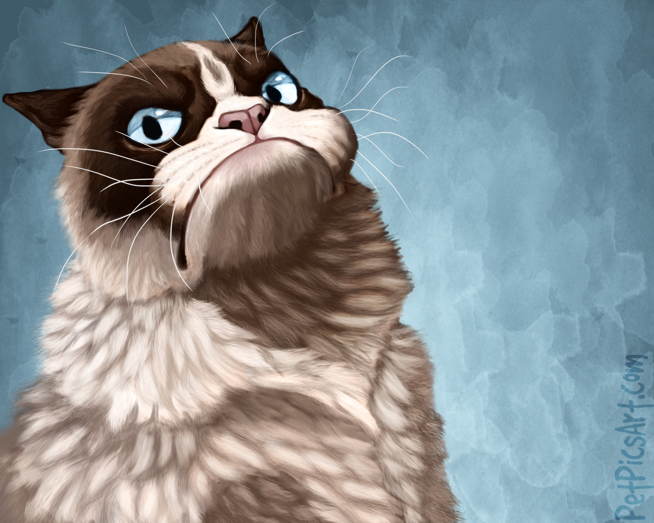 Image Grumpy Cat Wallpaper Hd Steven Universe Wiki Fandom