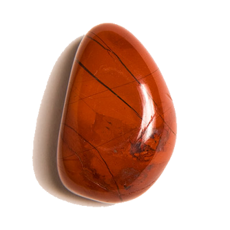 Jasper In Real Life