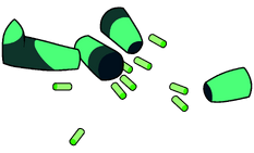 Limb Enhancers