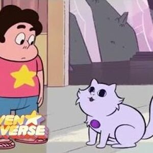 Cat Fingers Steven Universe Wiki Fandom