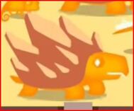 Orange Turtle