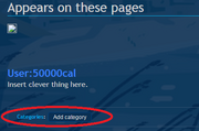 File page category