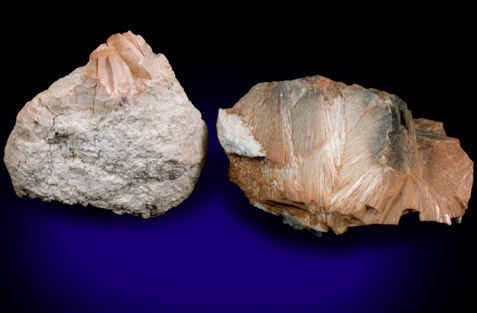 Stevensite