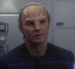 Tedak