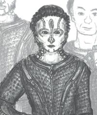 Zejil Rebek