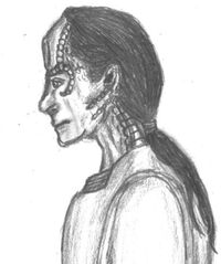 SigCat Skrain Dukat