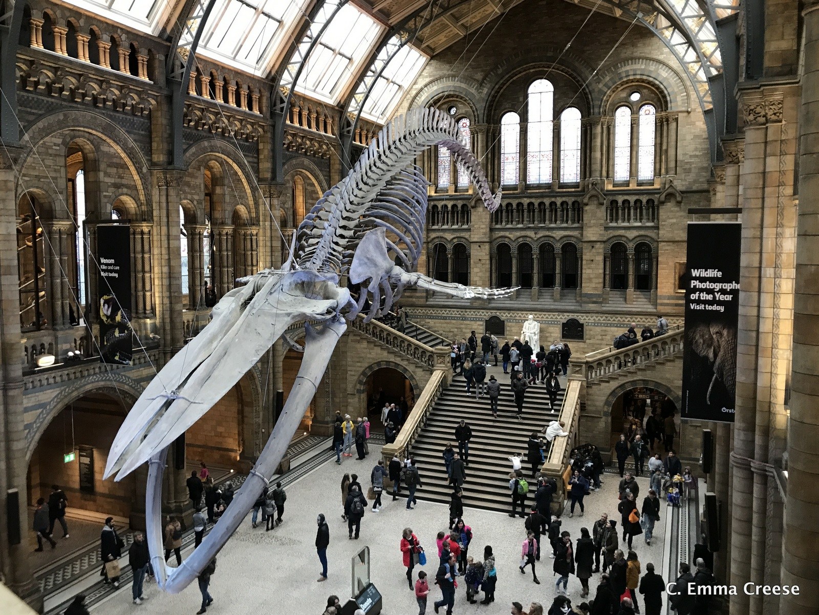 Natural museum london