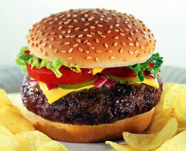 Cheese Burger
