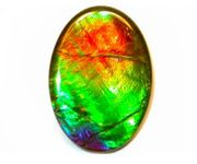 RealAmmolite