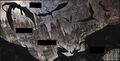 Thumbnail for version as of 00:35, April 28, 2016