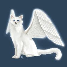 Swanspirit