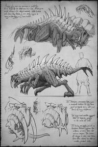 Sketchbook whitespine