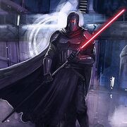 Shadow guard