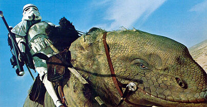 Dewback