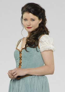 Once Upon a Time Belle Adult Womens Costume