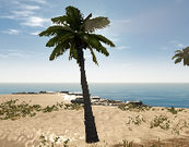 173px-Palmtree