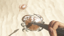 Spearedcrab