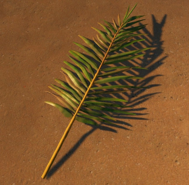 Palmwedel Stranded Deep Wiki FANDOM powered by Wikia