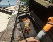 Flippers